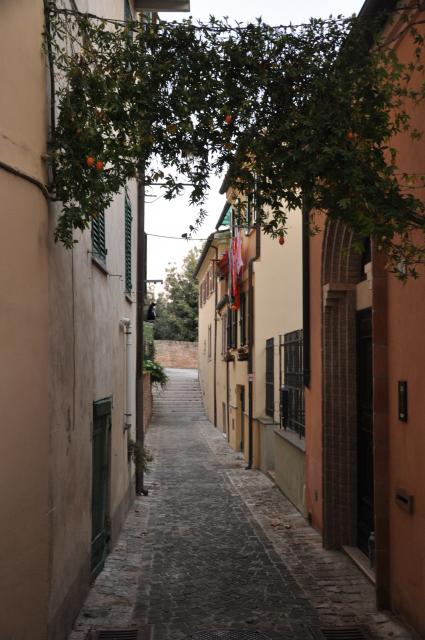 min 2010 08 01 ostra 100